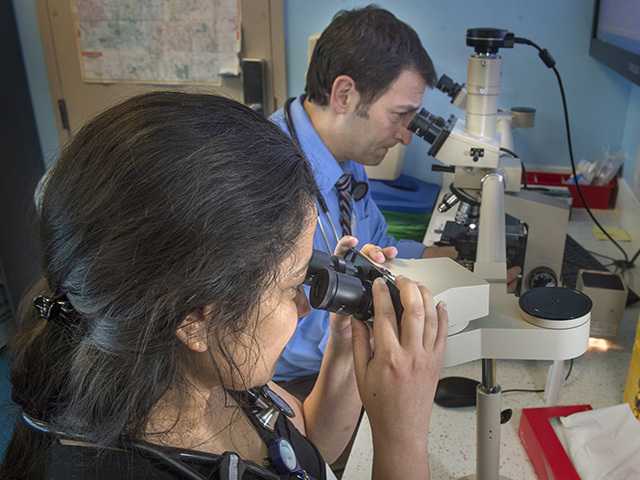 doctor and nurse examining samples